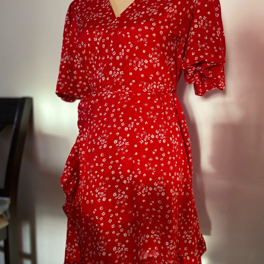 Red Dress - Picture 2 of 16